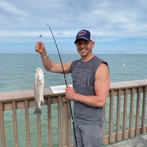 Meet your Posher, Chad